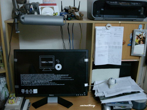 Dell E228WFP 22